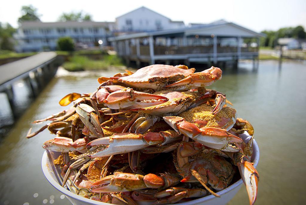 Chesapeake House Tilghman Island ภายนอก รูปภาพ